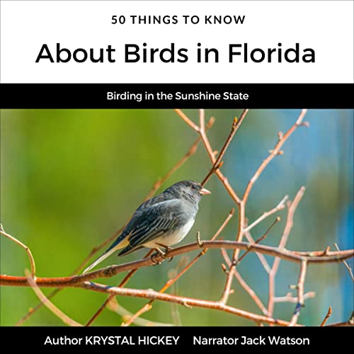 Cover of 50 Things to Know About Birds in Florida