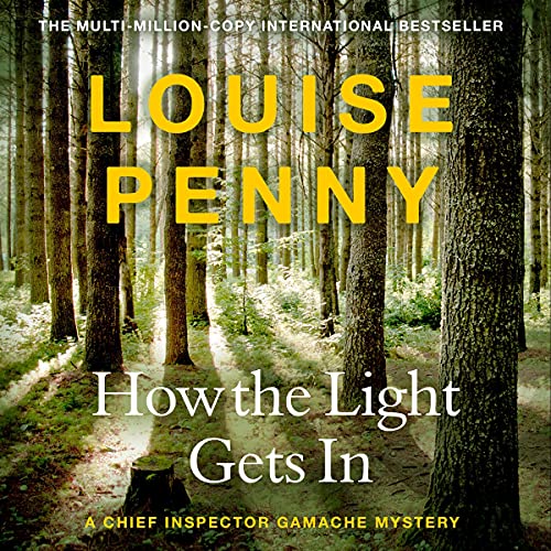 Cover of How the Light Gets In