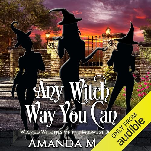 Cover of Any Witch Way You Can (Wicked Witches of the Midwest Book 1)