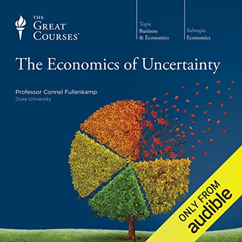 Cover of The Economics of Uncertainty