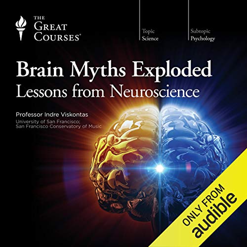 Cover of Brain Myths Exploded
