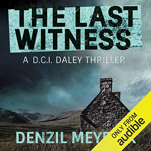 Cover of The Last Witness