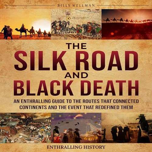 Cover of The Silk Road and Black Death