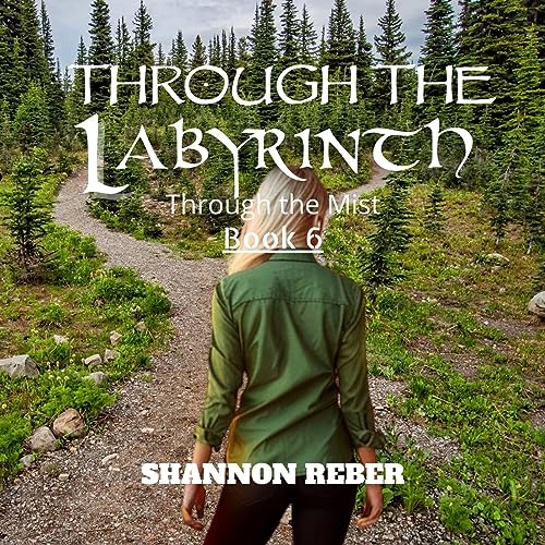 Cover of Through the Labyrinth