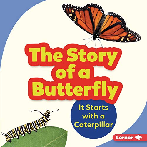 Cover of The Story of a Butterfly