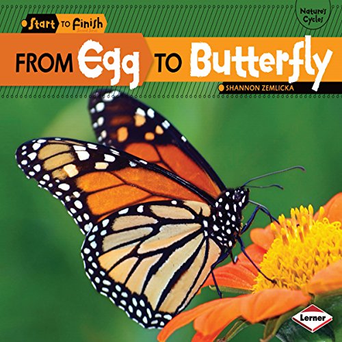Cover of From Egg to Butterfly