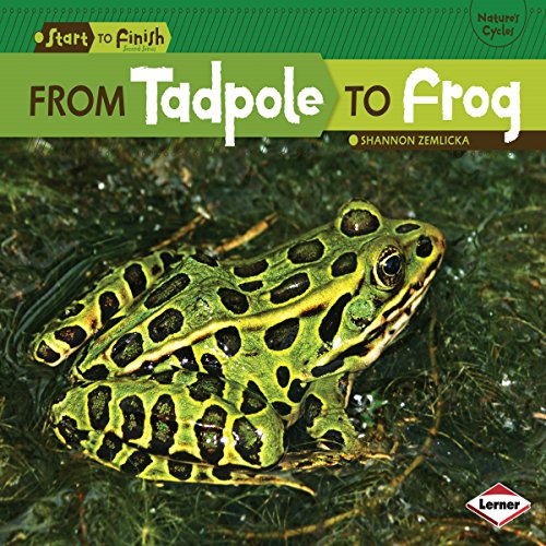Cover of From Tadpole to Frog