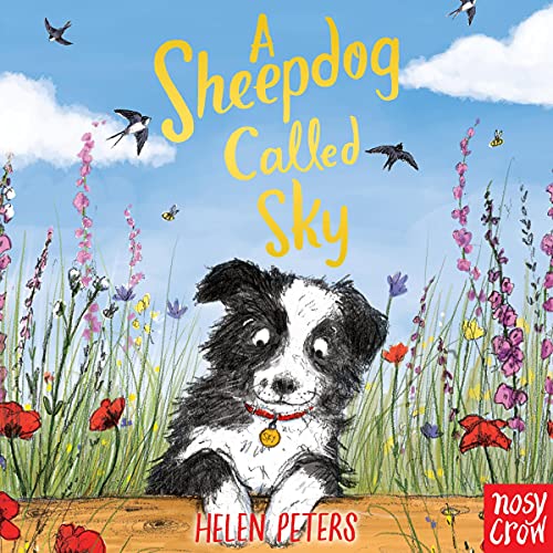 Cover of A Sheepdog Called Sky