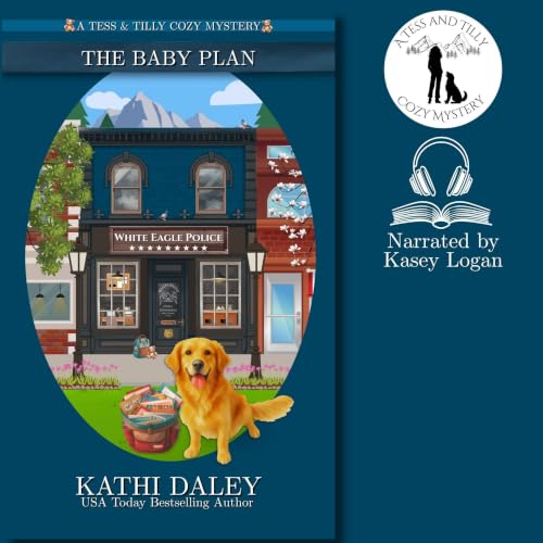 Cover of The Baby Plan