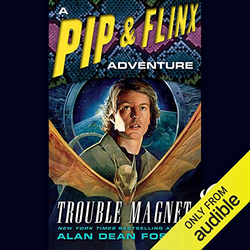 Cover of Trouble Magnet