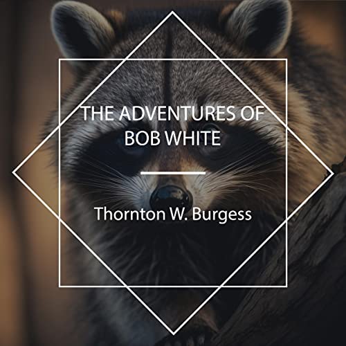 Cover of The Adventures of Bob White