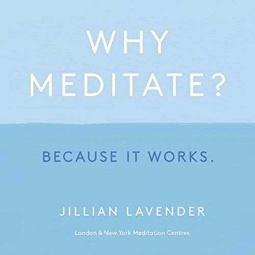 Cover of Why Meditate? Because It Works