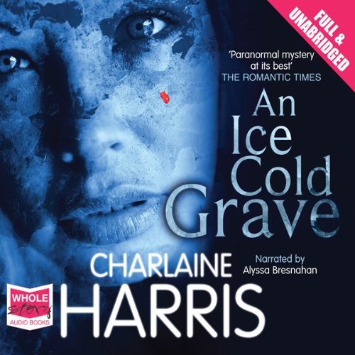 Cover of An Ice Cold Grave