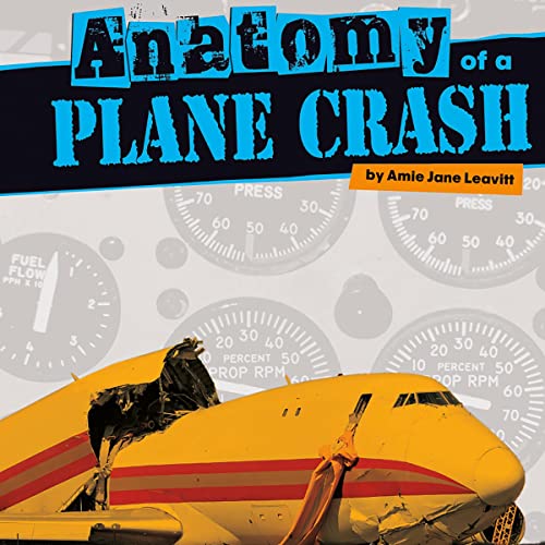Cover of Anatomy of a Plane Crash