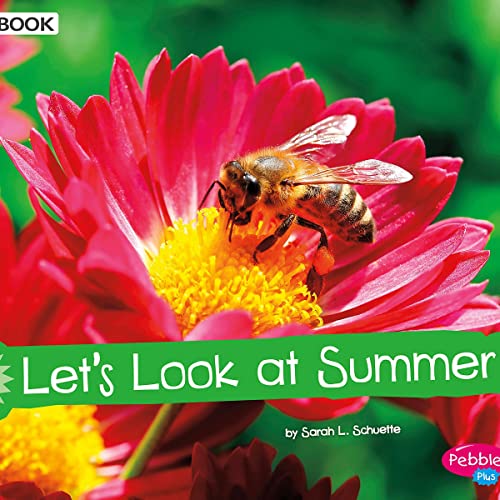 Cover of Let's Look at Summer