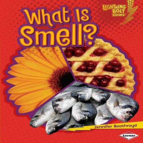 Cover of What Is Smell?