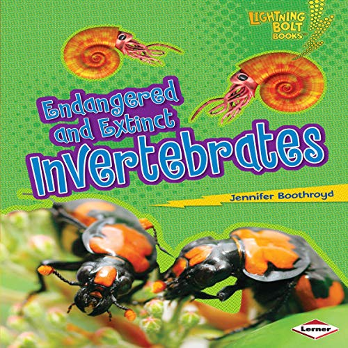 Cover of Endangered and Extinct Invertebrates