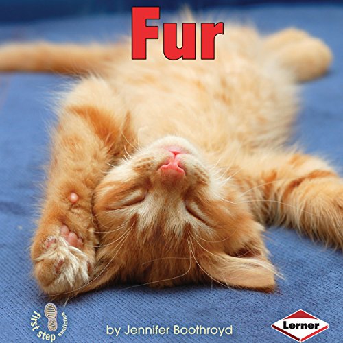 Cover of Fur