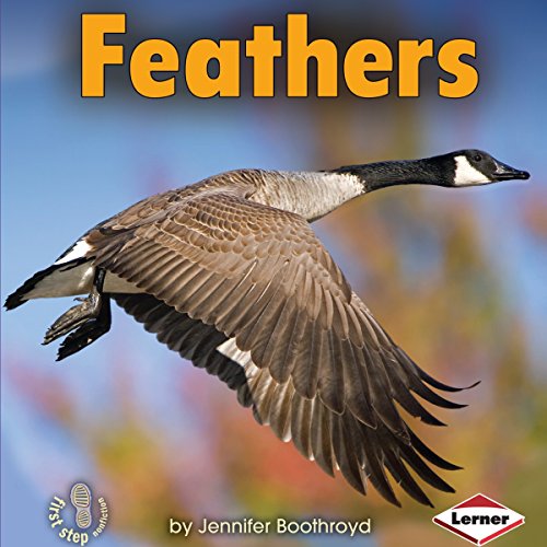Cover of Feathers
