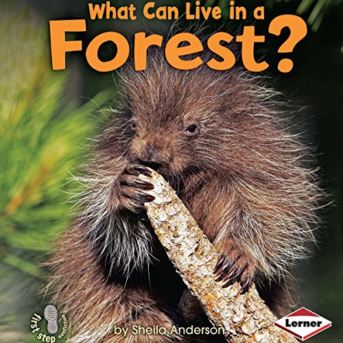 Cover of What Can Live in a Forest?