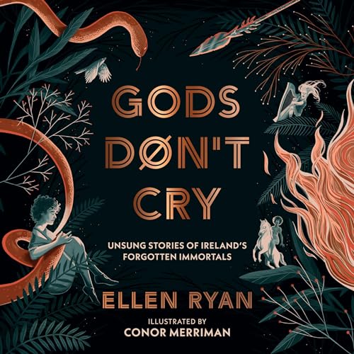 Cover of Gods Don’t Cry