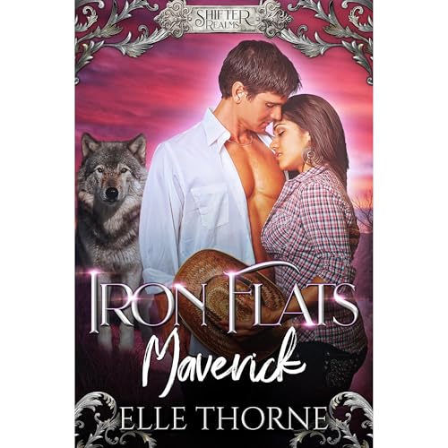 Cover of Iron Flats Maverick