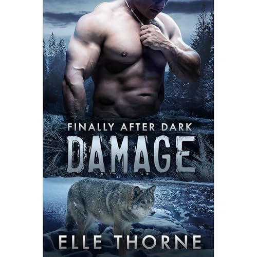 Cover of Damage