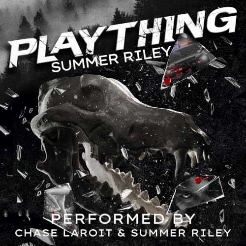 Cover of Plaything