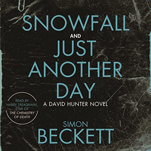 Cover of Snowfall & Just Another Day