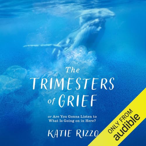 Cover of The Trimesters of Grief