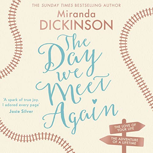 Cover of The Day We Meet Again