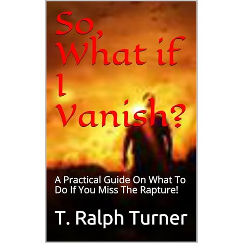 Cover of So, What if I Vanish?
