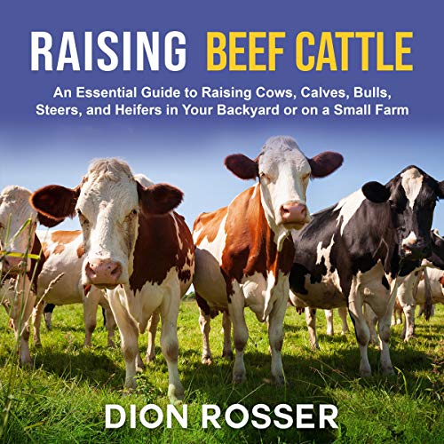 Cover of Raising Beef Cattle