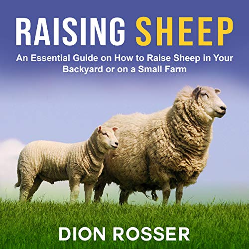 Cover of Raising Sheep