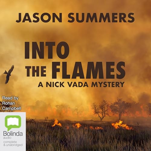 Cover of Into the Flames