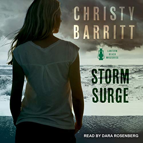 Cover of Storm Surge