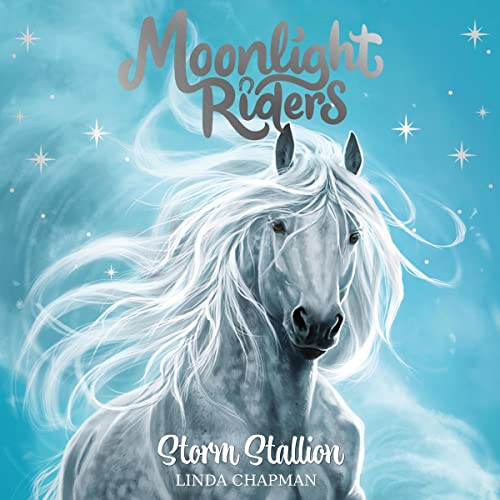 Cover of Storm Stallion