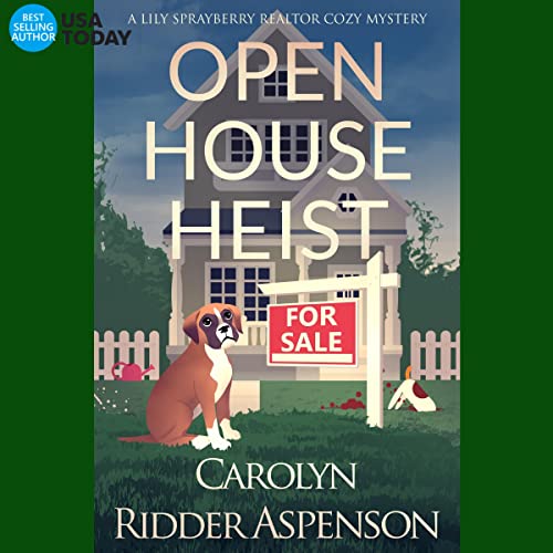 Cover of Open House Heist