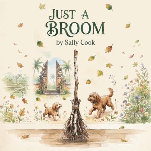 Cover of Just A Broom