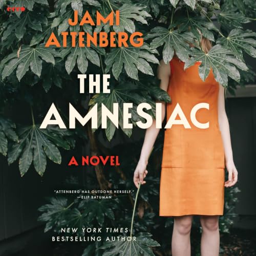 Cover of The Amnesiac