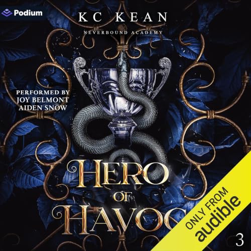 Cover of Hero of Havoc