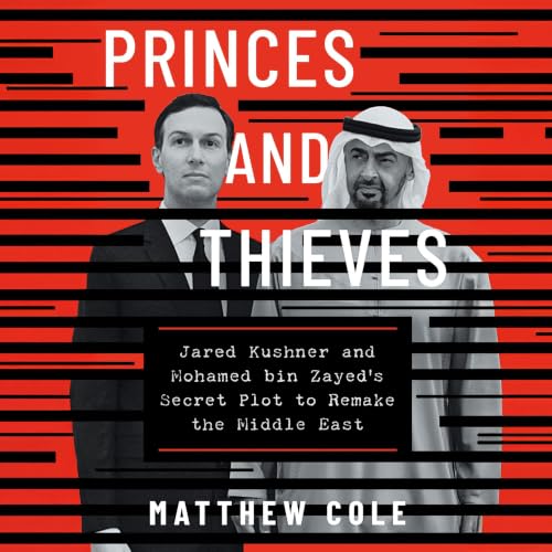 Cover of Princes and Thieves