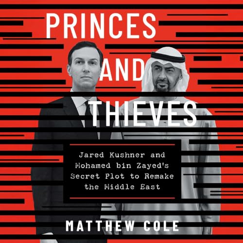 Cover of Princes and Thieves