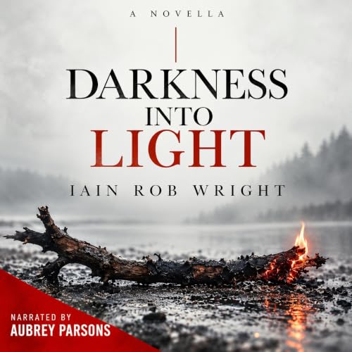 Cover of Darkness into Light