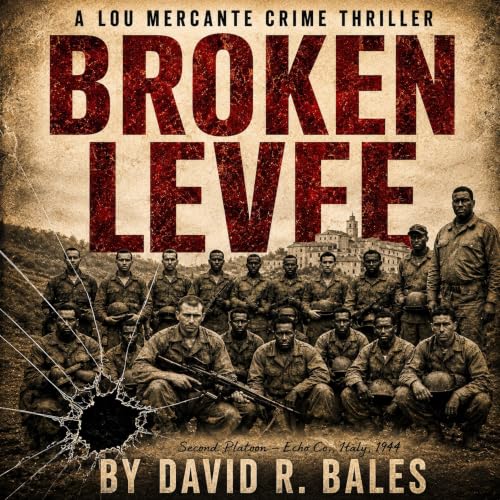 Cover of Broken Levee