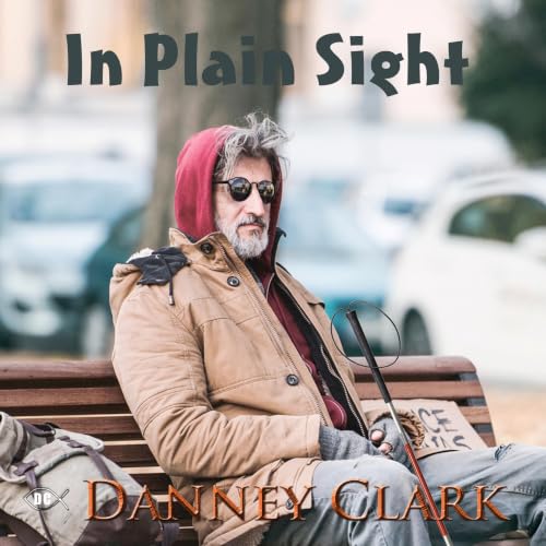 Cover of In Plain Sight