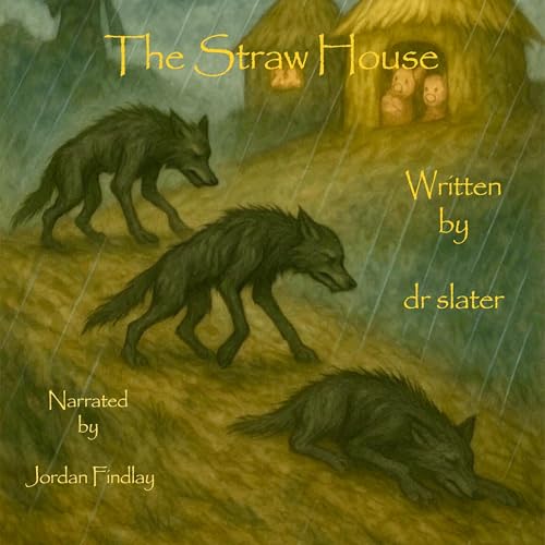 Cover of The Straw House