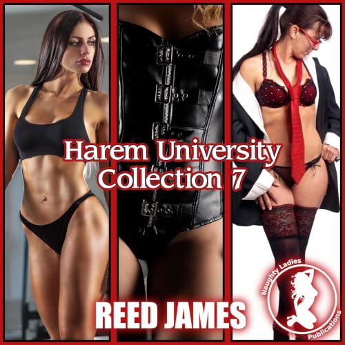 Cover of Harem University Collection 7