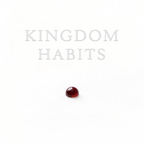 Cover of Kingdom Habits