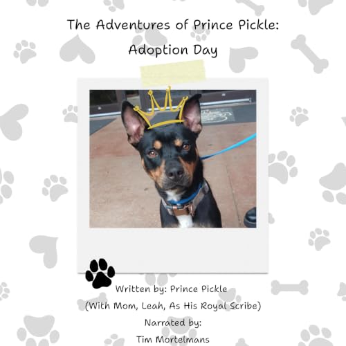 Cover of Adoption Day
